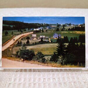 Vintage Farm on Prince Edward Island Canada Life Living Town Postcard UNP